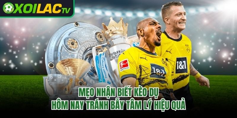Mẹo Nhận Biết Kèo Dụ Hôm Nay Tránh Bẫy Tâm Lý Hiệu Quả
