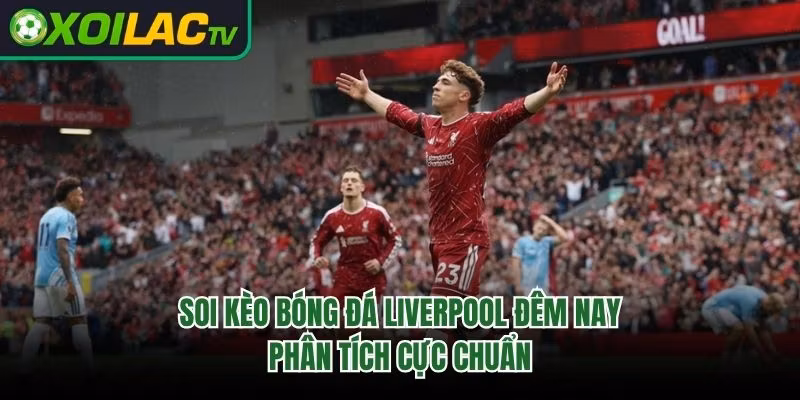 Soi Kèo Bóng Đá Liverpool Đêm Nay – Phân Tích Cực Chuẩn 