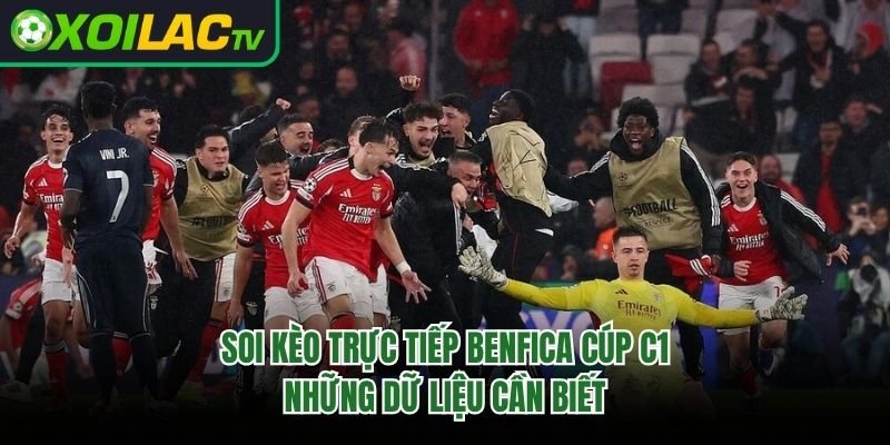 Soi Kèo Trực Tiếp Benfica Cúp C1 – Những Dữ Liệu Cần Biết