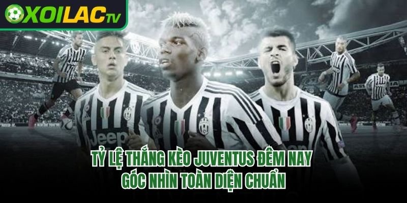 Tỷ Lệ Thắng Kèo Juventus Đêm Nay – Góc Nhìn Toàn Diện Chuẩn